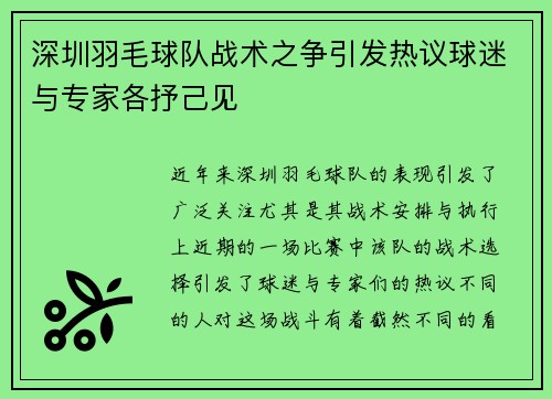 深圳羽毛球队战术之争引发热议球迷与专家各抒己见